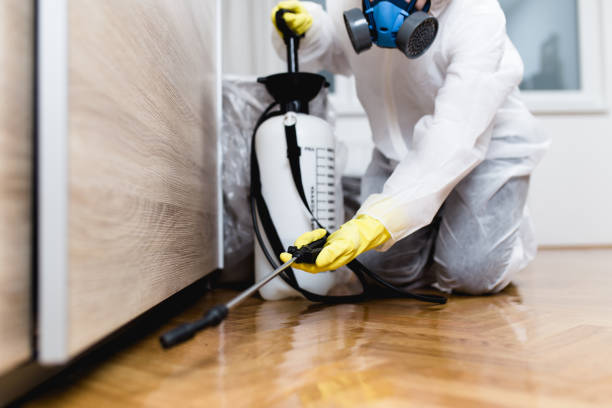 Best Flea Control Services  in Ellerslie, GA