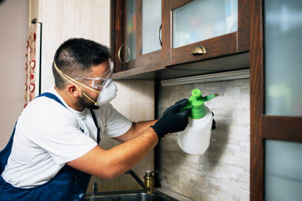 Trusted Ellerslie, GA Pest Control Experts