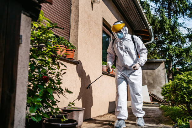 Best Spider Control Near Me  in Ellerslie, GA