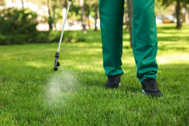 Best Emergency Pest Control  in Ellerslie, GA