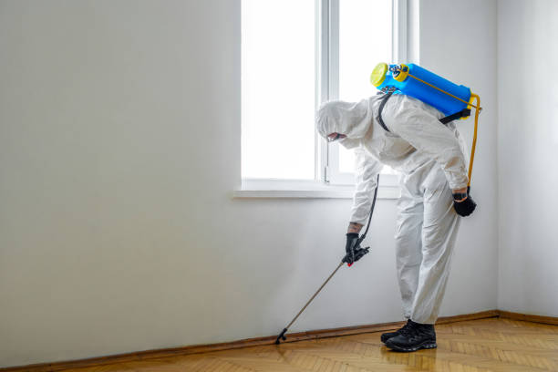 Pest Control for Restaurants in Ellerslie, GA