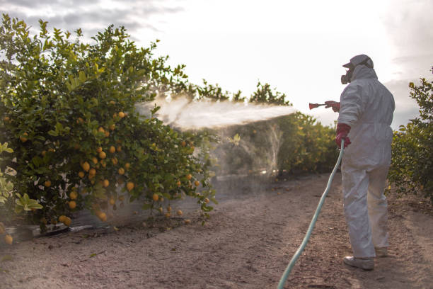 Best Best Pest Control Companies  in Ellerslie, GA