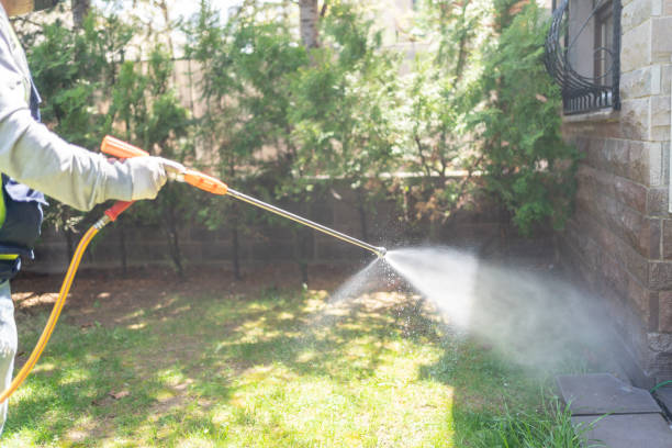 Best Rat Extermination Near Me  in Ellerslie, GA