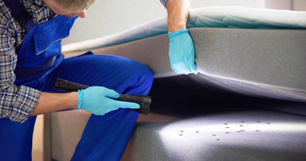 Best Emergency Pest Control  in Ellerslie, GA