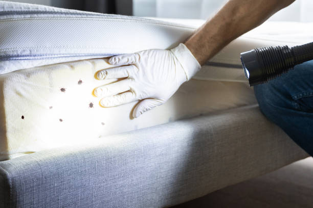 Best Pest Control for Restaurants  in Ellerslie, GA