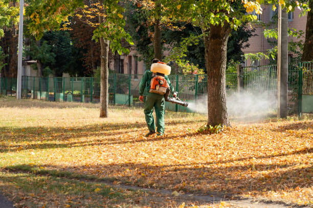 Best Mosquito Control Services  in Ellerslie, GA