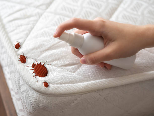 Best Pest Removal Services  in Ellerslie, GA