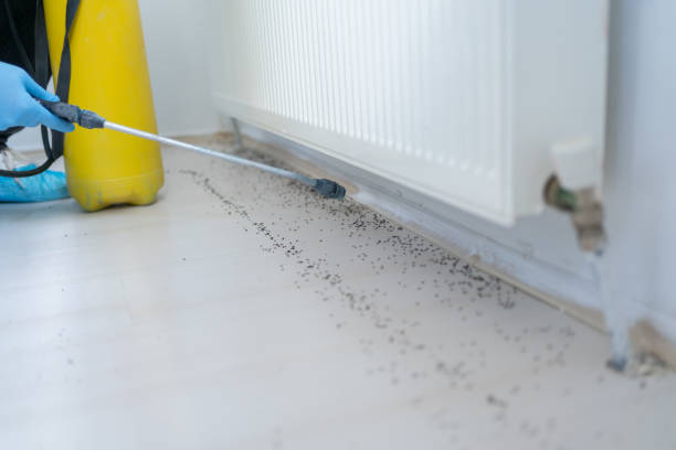 Best Mosquito Control Services  in Ellerslie, GA
