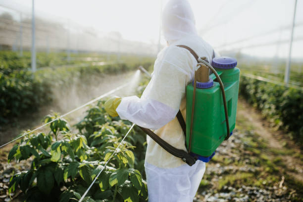 Best Pest Removal Services  in Ellerslie, GA
